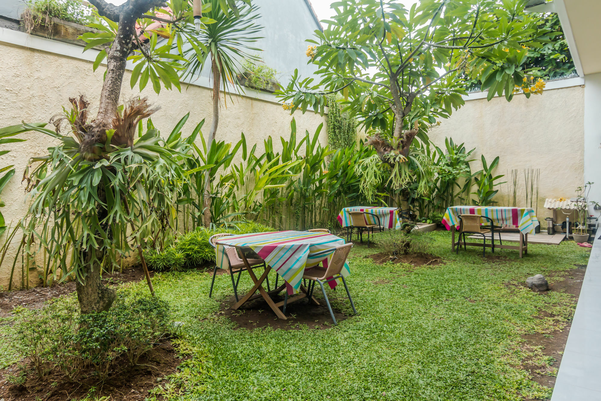 Zen Rooms Denpasar Mertasari Exterior photo